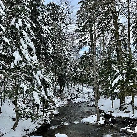 Le Lamartine, De Charme Au Coeur De Bagneres-de-Bigorre